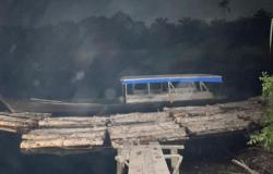 Polres Bengkalis Amankan Kayu Ilegal Setara 8 Truk di Sungai Nibung