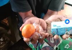 Viral! Video Paket MBG Isi Jeruk, Susu Mini, dan Telur Bikin Warganet Gerah