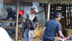 Tutupi Trotoar dan Drainase, Tujuh Lapak Kambing di Jalan Lamuru Makassar Ditertibkan