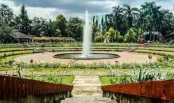 Liburan Akhir Pekan di Depok? Ini 7 Destinasi Paling Hits dan Edukatif!