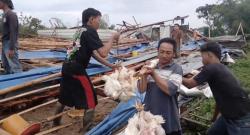 Angin Kencang Terjang Purbalingga, 15 Ribu Ayam Tertimpa Kandang Roboh