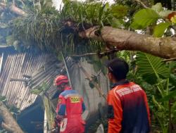 Angin Kencang Terjang Banyumas, Belasan Rumah Rusak 