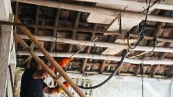 Bikin Tegang, Detik-detik Damkar Tarik King Kobra 2,5 Meter dari Atap Kandang