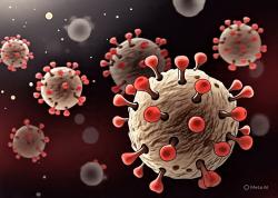 Waspada Global Virus Nipah, Dinkes Cianjur Pastikan Belum Ada Kasus