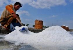 Dari NTT hingga Madura, Sumatraco Manfaatkan Lahan untuk Produksi Garam Standar Impor