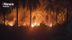Breaking News: Kebakaran Lahan di Laliko Polman, Api Nyaris Dekati Permukiman