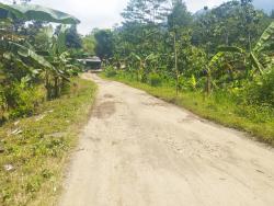 Perbaikan Bertahap, Dinas PUTR Kuningan Prioritaskan Jalan Kondisi Rusak Berat