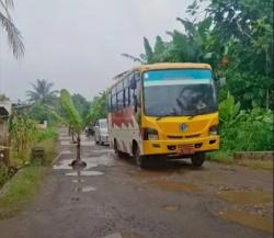 Kondisi Jalan Desa Pujorahayu Pesawaran Viral, Dipenuhi Lubang dan Pohon