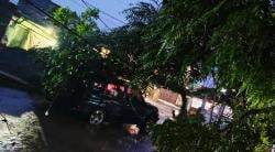Pohon Tumbang Timpa Mobil dan Dua Warung di Cilimus usai Hujan Angin