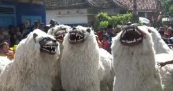 Lestarikan Tradisi Leluhur, Warga Blimbing Larung Hasil Bumi dalam Ritual Rokat Bumi