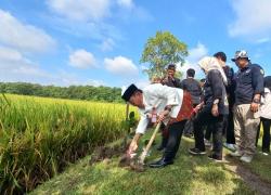 Cegah Banjir, Mahasiswa Bersama Warga di Grobogan Tanam Bibit Pohon di Dekat Tanggul Sungai