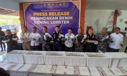 Bea Cukai Batam Ringkus Speedboat Tanpa Awak Angkut Benih Lobster Ilegal di Lingga