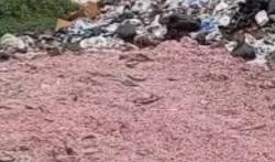 Viral! Cacahan Uang Rupiah Berserakan di TPS Liar Bekasi Dekat Bantargebang