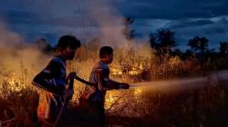 Diduga Dibakar, Lahan Hampir Setengah Hektare Terbakar di Kalampangan Palangka Raya