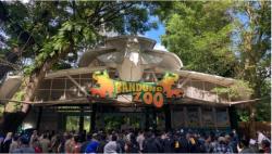 Pemerintah Lindungi Satwa dan Amankan Aset Daerah Kebun Binatang Bandung