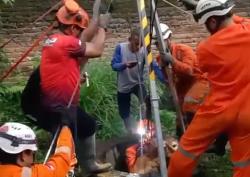 Dramatis, Evakuasi Anak Sapi Berbobot Hampir Satu Kuintal Tercebur Sumur Tua di Jombang