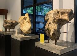 Museum Rajekwesi, Wisata Edukasi Gratis yang Menghidupkan Sejarah Bojonegoro