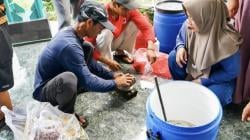 Swasembada Pupuk, Petani Jatiarjo Pasuruan Temukan Solusi dari PLN Indonesia Power UBP Grati