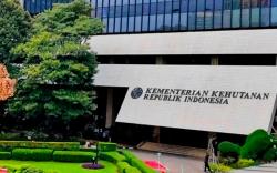 Geger! Gajah Sumatera Tewas Mengenaskan di Riau, Kemenhut Panggil Bos Besar Perusahaan Raksasa Ini!