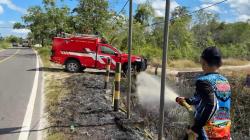 Cuaca Panas Picu Kebakaran Lahan di Palangka Raya, Tim Dalkarhutla Segera Padamkan Api
