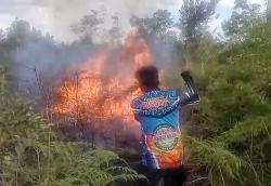 Hampir 3 Hektare Lahan Terbakar di Pulang Pisau, Pemadaman Terkendala Minim Sumber Air