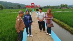 Air Jernih dan Mina Padi, Potensi Desa Wisata Banyumas Tahun 2026