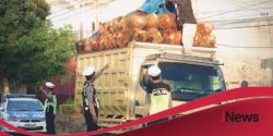 Operasi Marano 2026, Satlantas Polres Mamuju Tengah Sasar Truk Overload
