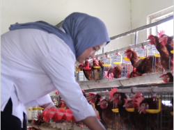 Polije Buka Paket Agrowisata Inovatif di Tengah Kota Jember