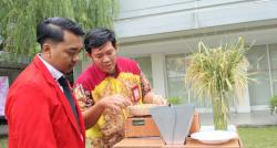 Tak Tergantung Cuaca, Alat Pengering Gabah Otomatis Mahasiswa Untag Surabaya Bikin Petani Bahagia