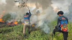 2,5 Hektare Lahan Terbakar di Palangka Raya, Pemadaman Terkendala Air dan Akses Lokasi