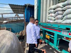 Arang Kelapa RI Tembus China, Kadin Targetkan Ekspor Rp500 Miliar