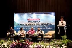 DPR Tekankan Kepentingan Nasional dalam Pengelolaan Karbon Biru