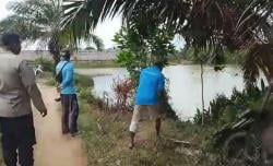 Warga Bangka Barat Diserang Buaya, Kapolres : Jangan Anggap Sepele 