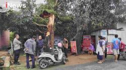 BREAKING NEWS: Hujan Disertai Angin Kencang, Pohon Tumbang Timpa Rumah Warga