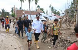 Presiden RI Kirim Bantuan Sapi Rp4,9 Miliar ke Pidie Jaya Aceh untuk Sambut Meugang