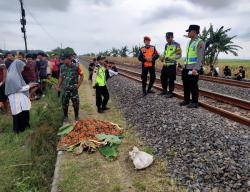 Pulang Belanja, Perempuan Lansia Tewas Tertemper KA Anjasmoro di Penawangan Grobogan