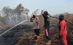 10 Hektare Lahan di Rupat Bengkalis Terbakar