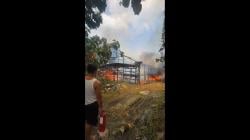 Kandang Ayam di Ngemplak Boyolali Ludes Terbakar, 10 Ribu DOC Mati Terpanggang