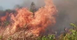 Perangi Karhutla di Tiga Wilayah, Riau Segera Operasikan Pesawat Modifikasi Cuaca