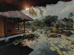 Cari Tempat Tenang? Ini Rekomendasi Wisata Air Panas Alami di Kaki Gunung Guntur