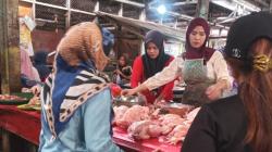 Jelang Puasa, Permintaan Meningkat Harga Daging Ayam Bertahan Mahal