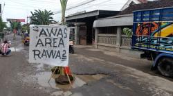 Warga Sambirobyong Tanami Pohon Pisang, Protes Jalan Rusak Tak Kunjung Diperbaiki