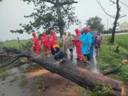 Hujan Lebat dan Angin Kencang Terjang 10 Kecamatan di Kendal, Rumah Roboh dan Pohon Tumbang