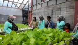 Misi Emak-Emak Menghidupkan Tanah Pesisir Tambak Lorok Semarang