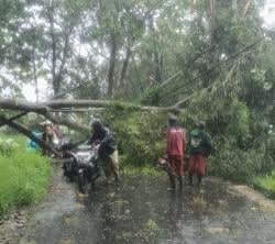 Pemkot Semarang Imbau Warga Masyarakat Waspada Potensi Bencana Hidrometeorologi