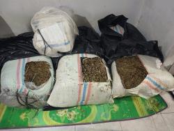 Polda Aceh Amankan 50 Kilogram Ganja dari pengemudi Mobil