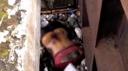 Misteri Penemuan Mayat di Sungai Cibuaya Indramayu, Identitas Belum Terkuak!