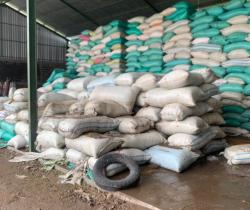 Banjir di Probolinggo Rusak Hasil Pertanian, Ratusan Ton Gabah dan Beras Dievakuasi Darurat