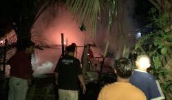 Perapian Kandang Picu Kebakaran di Kuansing, Puluhan Ternak Ludes Terpanggang