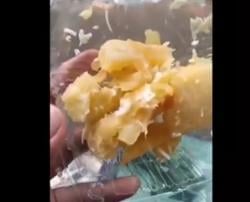 Menu MBG Singkong Rebus Dicocol Sambal Tempe, Sekolah di Jombang Ramai-Ramai Protes SPPG